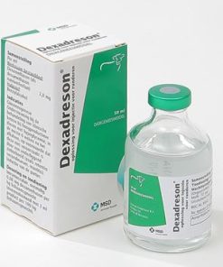 Dexadreson
